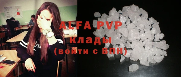 сатива Балахна