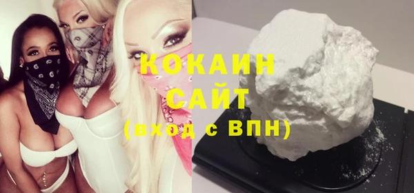сатива Балахна