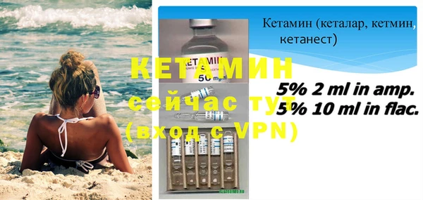 сатива Балахна